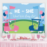 Lofaris Blue And Pink Bike He Or She Baby Shower Backdrops